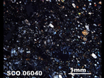 Thin Section Photo of Sample SCO 06040  in Cross-Polarized Light
