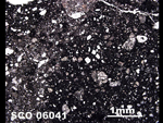 Thin Section Photo of Sample SCO 06041  in Plane-Polarized Light