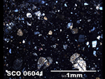 Thin Section Photo of Sample SCO 06041  in Cross-Polarized Light