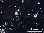 Thin Section Photograph of Sample SZA 12431 in Plane-Polarized Light