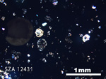 Thin Section Photograph of Sample SZA 12431 in Cross-Polarized Light