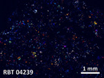 Thin section photo of sample RBT 04239 Cross polarized light