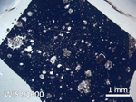 Thin Section Photo of Sample WIS 91600 in Plane-Polarized Light with  Magnification