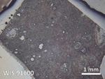 Thin Section Photo of Sample WIS 91600 in Reflected Light with  Magnification