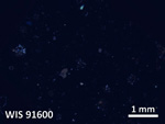 Thin Section Photo of Sample WIS 91600 in Cross-Polarized Light with  Magnification