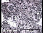Thin Section Photo of Sample WIS 91608 in Reflected Light