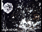 Thin Section Photo of Sample ALH 82131 in Plane-Polarized Light