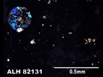 Thin Section Photo of Sample ALH 82131 in Cross-Polarized Light