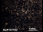 Thin Section Photo of Sample ALH 83102 in Plane-Polarized Light