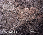 Thin Section photo of ALH 84023