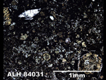 Thin Section Photograph of Sample ALH 84031 in Plane-Polarized Light