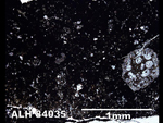 Thin Section Photo of Sample ALH 84035 in Plane-Polarized Light
