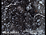 Thin Section Photo of Sample ALH 84041 in Plane-Polarized Light