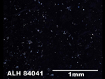 Thin Section Photo of Sample ALH 84041 in Cross-Polarized Light