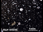 Thin Section Photo of Sample ALH 84046 in Plane-Polarized Light