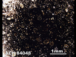 Thin Section Photo of Sample ALH 84048 in Plane-Polarized Light