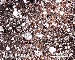 Thin Section Photo of Sample ALH 85003 in Plane-Polarized Light