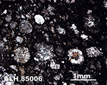Thin Section Photo of Sample ALH 85006 in Plane-Polarized Light