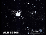 Thin Section Photo of Sample ALH 85106 in Plane-Polarized Light