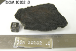 Lab Photo of Sample DOM 10102 Showing Bottom View