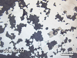 Thin Section Photo of Sample DOM 10122 in Reflected Light with 1.25X Magnification
