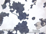 Thin Section Photo of Sample DOM 10122 in Reflected Light with 2.5X Magnification