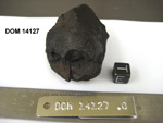 Lab Photo of Sample DOM 14127 Displaying East Orientation