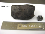Lab Photo of Sample DOM 14127 Displaying South Orientation
