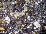 Thin Section Photograph of Sample EET 87532 in Cross-Polarized Light