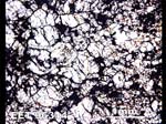 Thin Section Photograph of Sample EET 96314 in Plane-Polarized Light