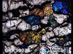 Thin Section Photograph of Sample GRA 98032 in Cross-Polarized Light