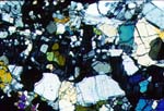 Thin Section Photograph of Sample GRA 98098 in Cross-Polarized Light