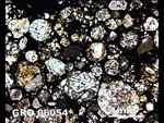 Thin Section Photograph of Sample GRO 06054 in Plane-Polarized Light