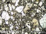 Thin Section Photograph of Sample GRO 95535 in Plane-Polarized Light