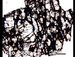 Thin Section Photograph of Sample GRO 95608 in Plane-Polarized Light