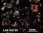 Thin Section Photograph of Sample LAP 04720 in Cross-Polarized Light