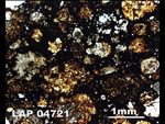 Thin Section Photograph of Sample LAP 04721 in Plane-Polarized Light