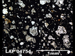 Thin Section Photograph of Sample LAP 04754 in Plane-Polarized Light