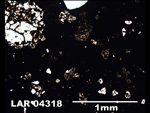 Thin Section Photograph of Sample LAR 04318 in Plane-Polarized Light