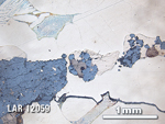 Thin Section Photo of Sample LAR 12059 in Reflected Light with 2.5X Magnification