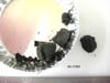 MIL 07668 Meteorite Sample Photograph Showing Sample Splits