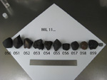 Lab Group Photo of Sample MIL 11050 Displaying North Orientation