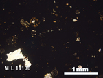 Thin Section Photo of Sample MIL 11130 in Plane-Polarized Light with 2.5X Magnification