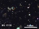 Thin Section Photo of Sample MIL 11130 in Cross-Polarized Light with 2.5X Magnification