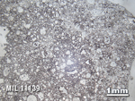 Thin Section Photo of Sample MIL 11139 in Reflected Light with 1.25X Magnification