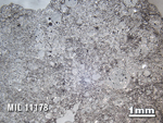 Thin Section Photo of Sample MIL 11178 in Reflected Light with 1.25X Magnification