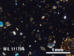 Thin Section Photo of Sample MIL 11178 in Cross-Polarized Light with 2.5X Magnification