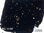 Thin Section Photo of Sample MIL 11187 in Plane-Polarized Light with 1.25X Magnification
