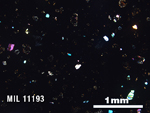 Thin Section Photo of Sample MIL 11193 in Cross-Polarized Light with 2.5X Magnification