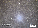 Thin Section Photo of Sample MIL 11213 in Reflected Light with 1.25X Magnification